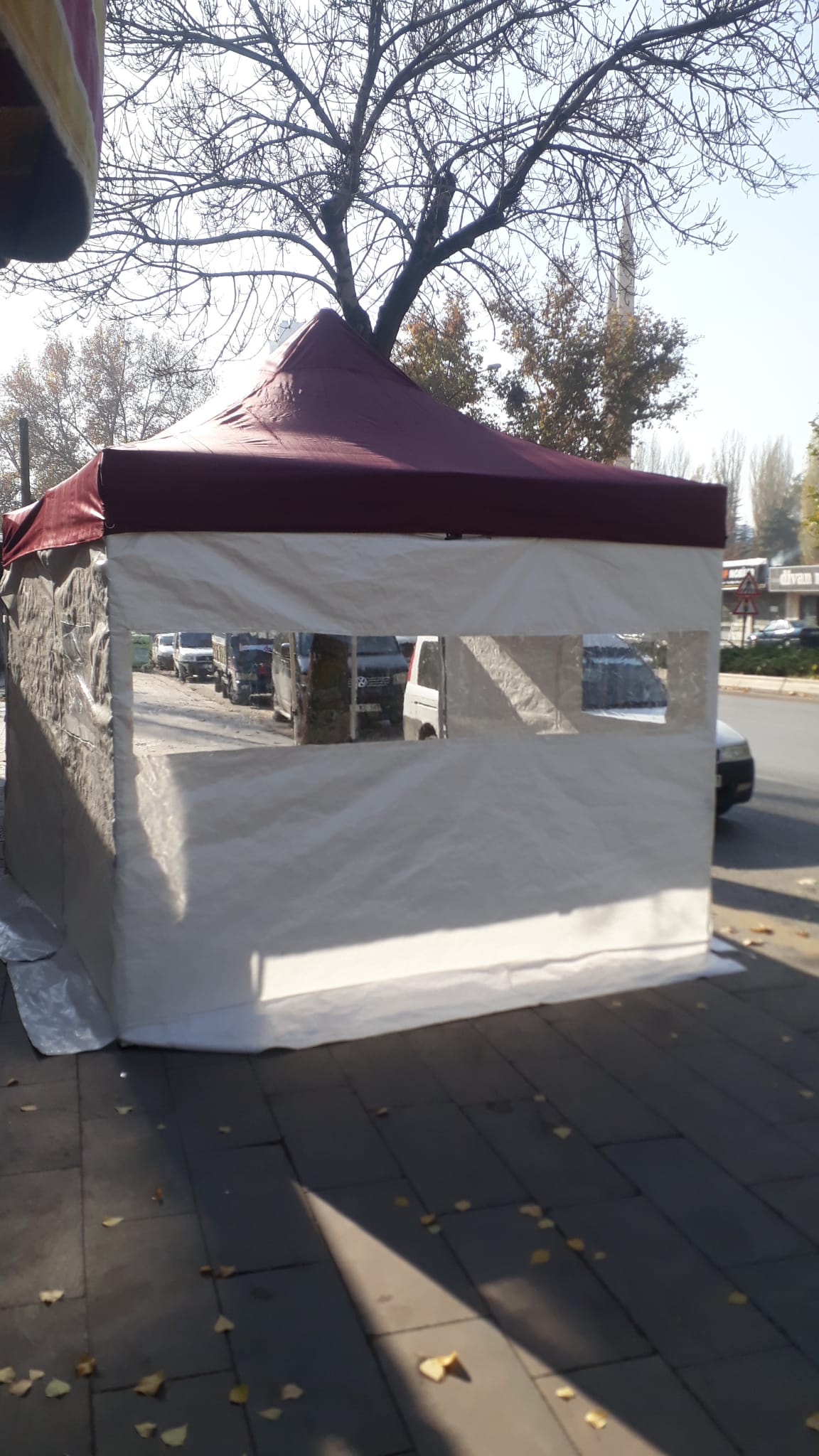 Fermuarlı Şeffaf Kamelya Kapama